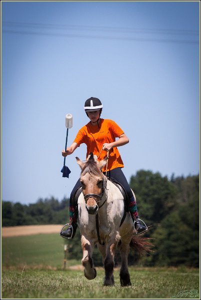 Mounted Games 202